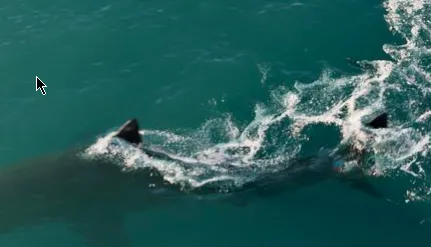 Gnomon Introduction to Houdini Fluids Course Full Free Download