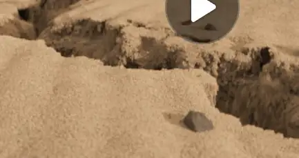 Gnomon Workshop - Introduction to Houdini Grains Free Download