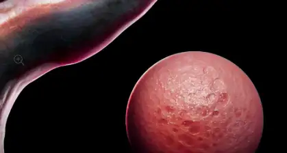 Zbrush 32 Alpha Brushes for Creatures Crack 2026 Download