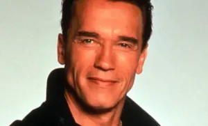 Bundle of Useful Procreate Drawing Courses 2026 Free Download