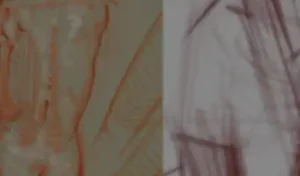 Gumroad - Figure drawing FORM/STRUCTURE Full Course Download