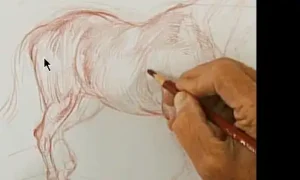 NMA - How to Draw Animals by Glenn Course Free 2026 Download