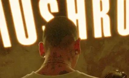 shopmoment - FilmVision Pro v1.1 Crack 2026 Free Download