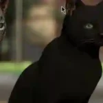 Animalia - Domestic Cat Unreal Engine 5.1+ Download 2026