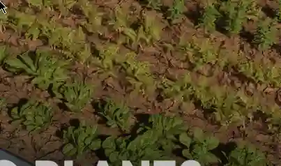 Unreal Engine 9 Foliage Collection + Foliage Plugin Download 2026