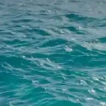 DF Productions - Waterline PRO 6 (FAB) Download